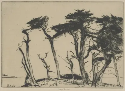 The Rhythm Of The Cypress