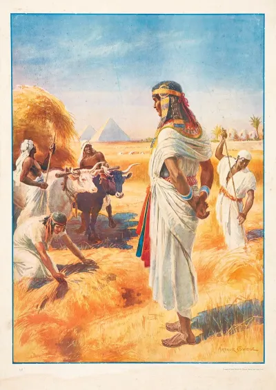 The Rich Harvest In Egypt