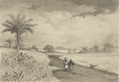 The Road To Pitch Lake