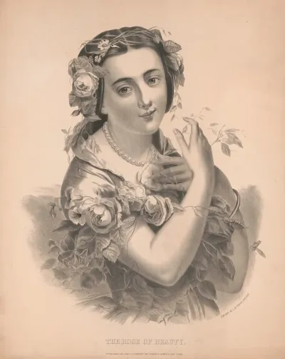 The Rose Of Beauty