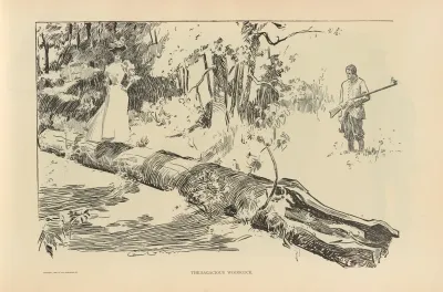 The Sagacious Woodcock