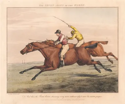 The Seven Ages Of The Horse 2