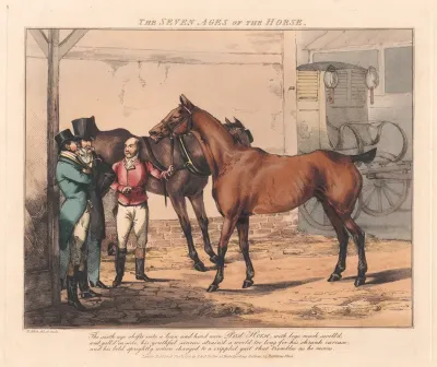 The Seven Ages Of The Horse 3