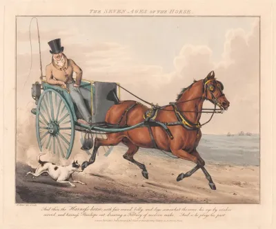 The Seven Ages Of The Horse 4