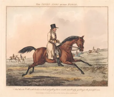 The Seven Ages Of The Horse 7