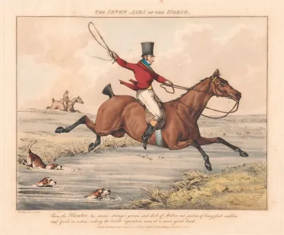 The Seven Ages Of The Horse