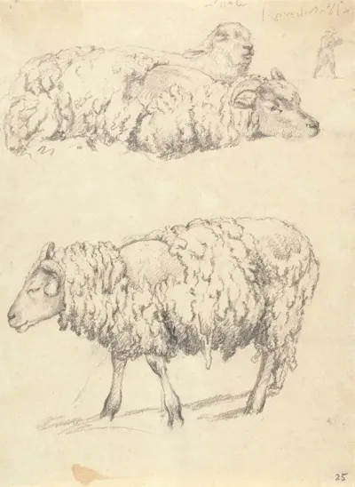 The Shearing