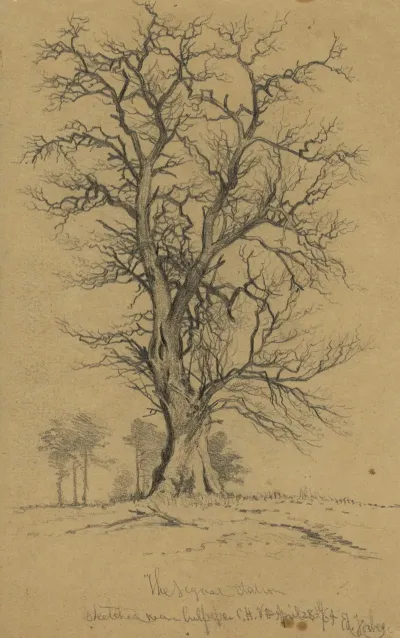 The Signal Station Sketched Near Culpeper C H Va