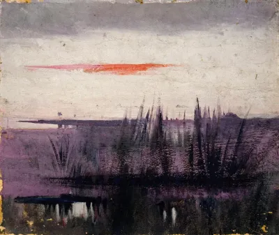 The Sky Simulated By White Flamingoes Study For Book Concealing Coloration In The Animal Kingdom