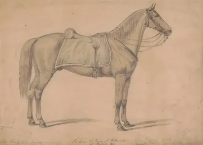 The Sorrel Horse The Prince Of Wales Rode At Boston
