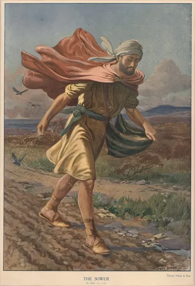 The Sower 12