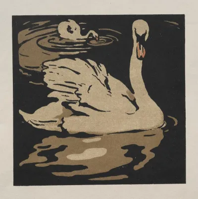 The Square Book Of Animals The Beautiful Swan 1899 2