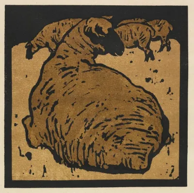 The Square Book Of Animals The Simple Sheep 2