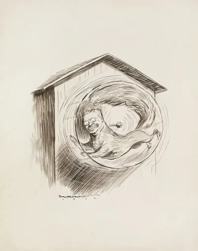 The Squirrel Cage