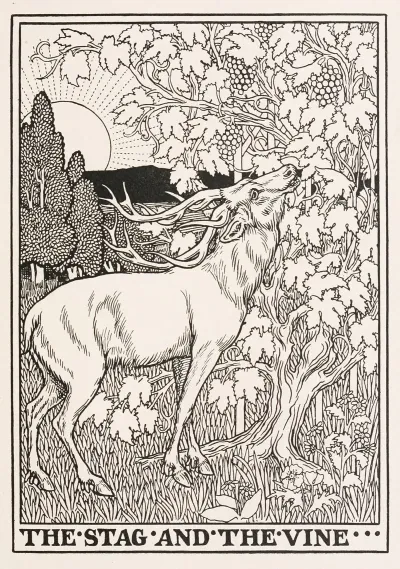 The Stag And The Vine