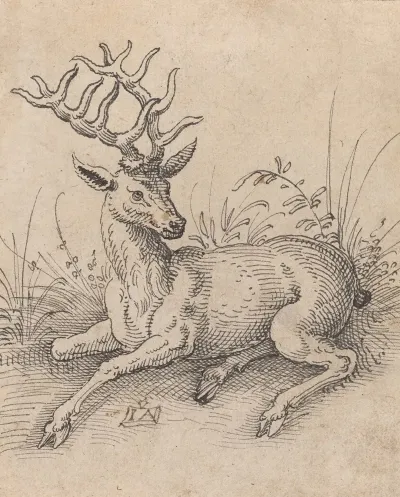 The Stag