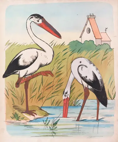The Storks