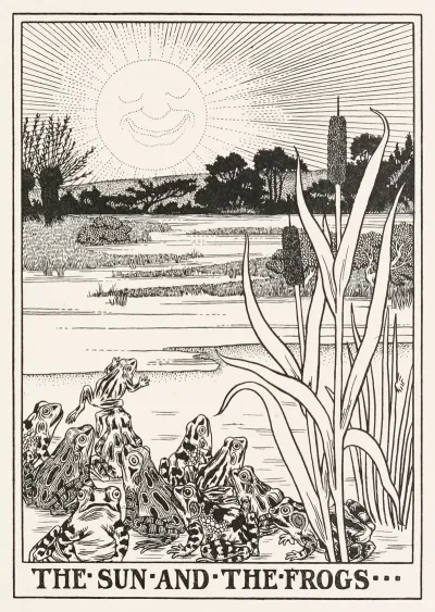 The Sun And The Frogs 2
