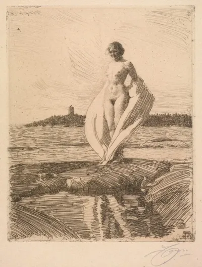 The Swan 3