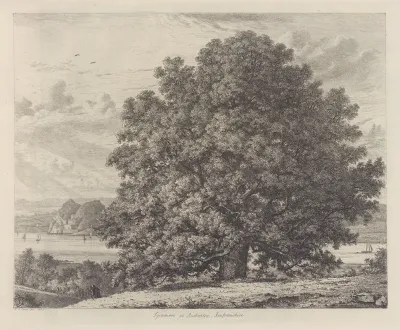 The Sycamore At Bishopton