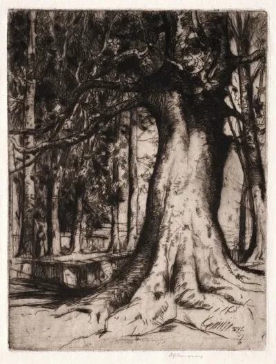 The Sycamore