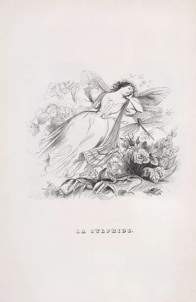 The Sylph