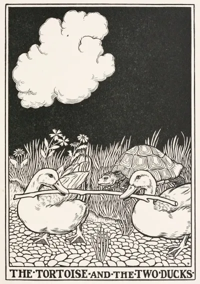 The Tortoise And The Two Ducks
