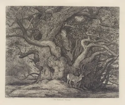 The Tortworth Chesnut