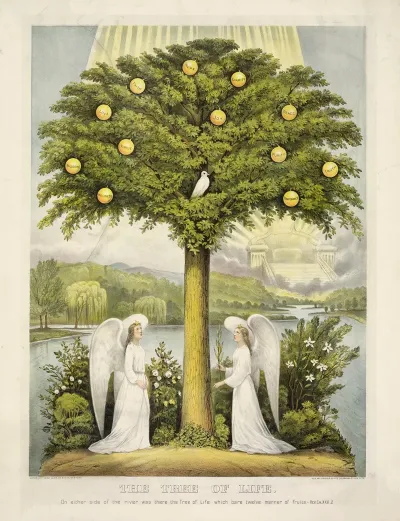 The Tree Of Life On Either Side Of The River Was There The Tree Of Life Which Bare Twelve Manner Of Fruits Rev Ch Xxii2