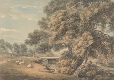 The Trees And River In The Park At Coleorton Hall Leicestershire