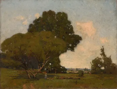 The Trees Early Afternoon France