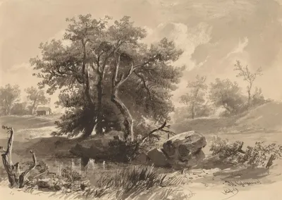 The Treesbedfordnew York