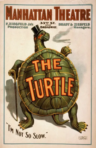 The Turtle
