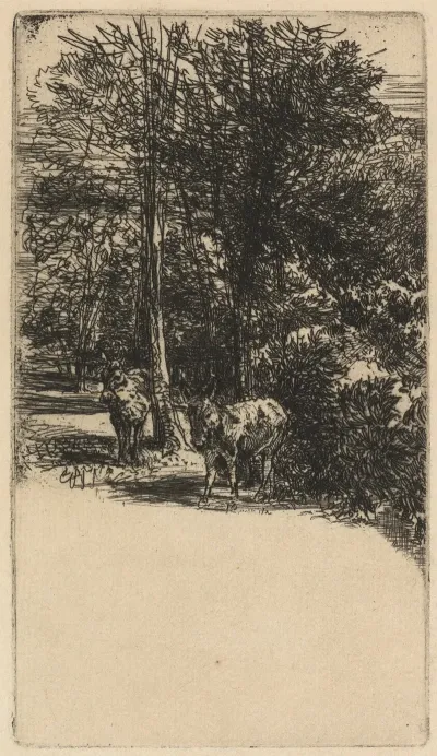 The Two Asses 2