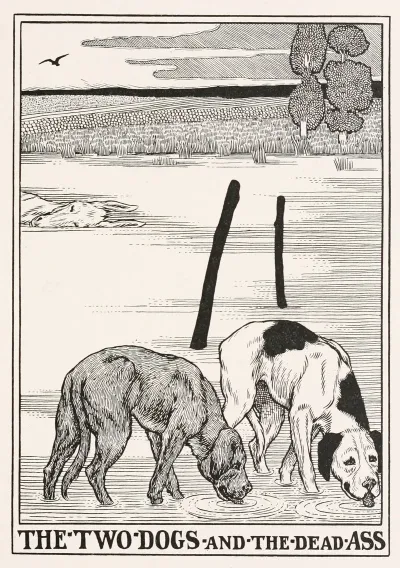The Two Dogs And The Dead Ass