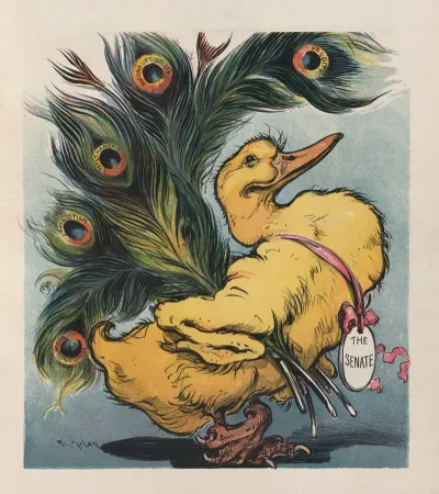 The Ugly Duckling 2