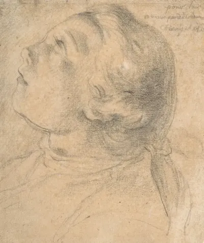 The Upturned Head Of A Young Boy In Profile