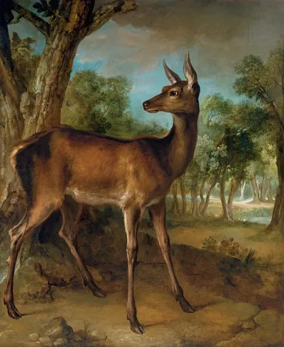 The Watchful Doe Biche Aux Augets