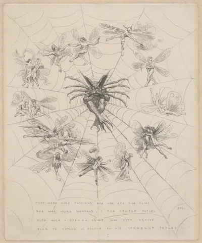 The Web