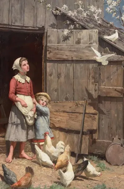 The White Dove