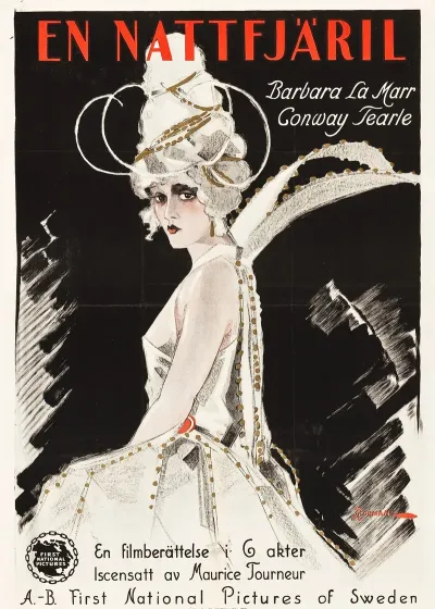 The White Moth