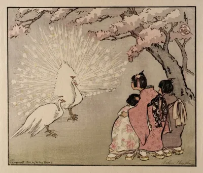 The White Peacock