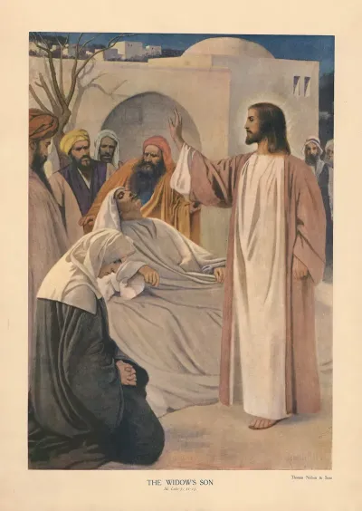 The Widows Son