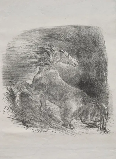 The Wild Horse Or Frightened Horse Leaving The Water 2