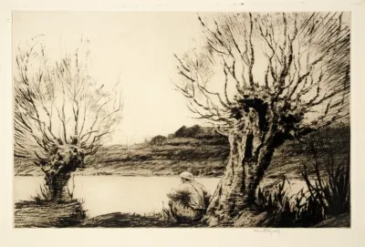 The Willows 2