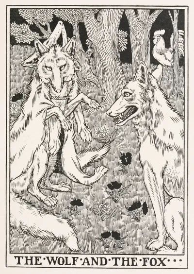 The Wolf And The Fox 2