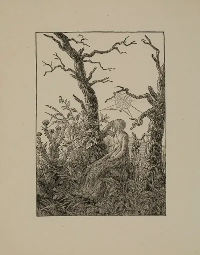 The Woman With The Spiders Web Between Bare Trunks Melancholy