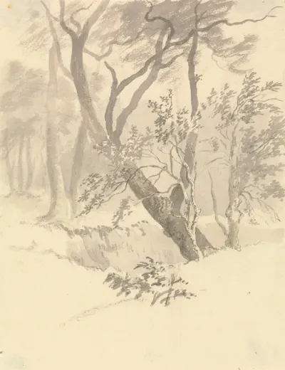 The Wood