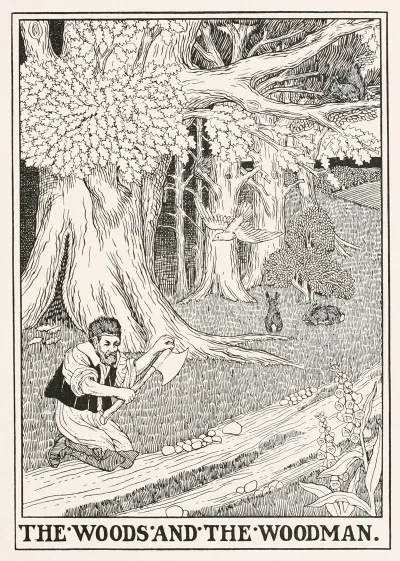 The Woods And The Woodman