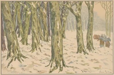 The Woods Winter